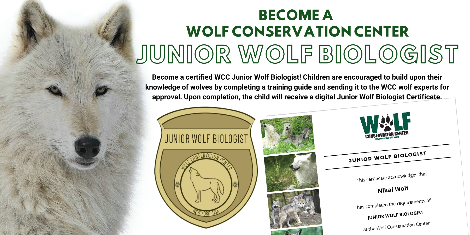 Jr Wolf Biologist