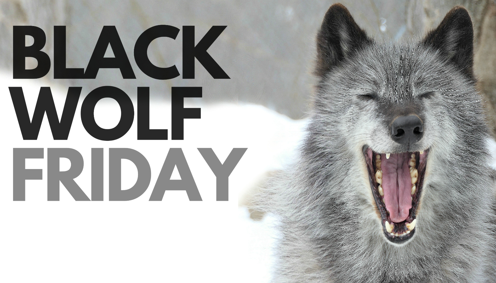 black wolf friday