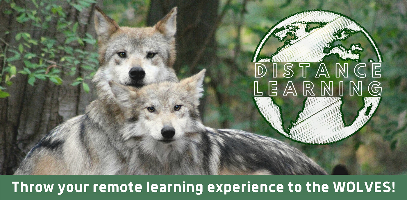 Attention Teachers: Free distance learning