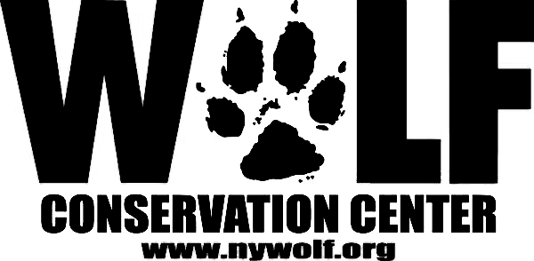 Wcc Logo Black